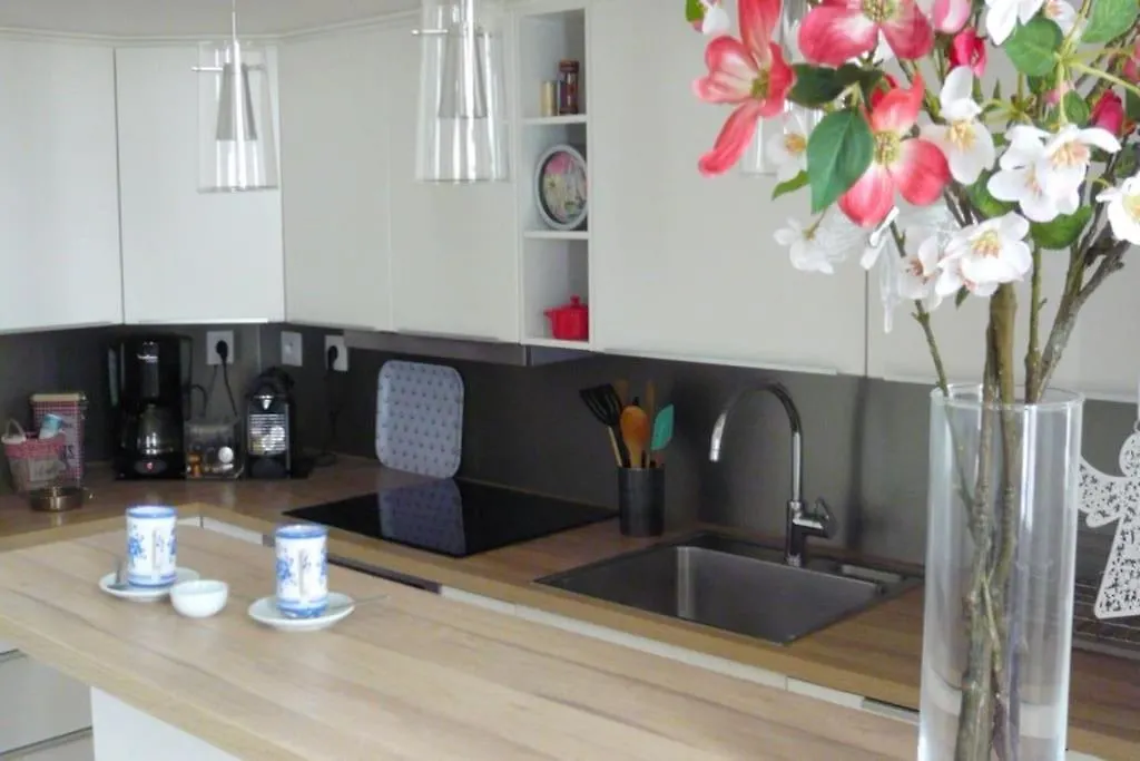Le Regrattier St Louis Apartment Paris